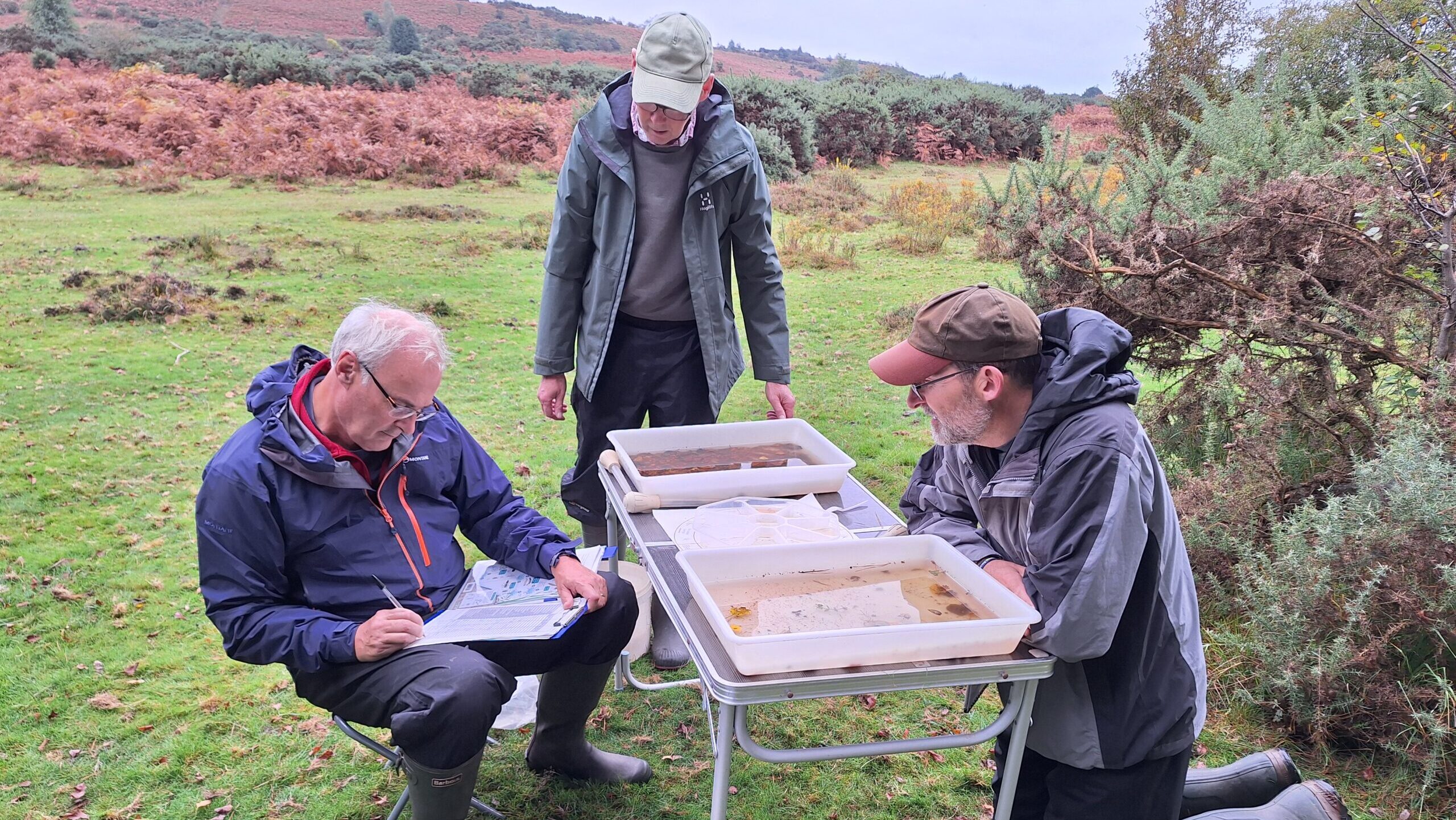 Three men examine water samples in trays on a folding table in a grassy field; one writes notes while others look on