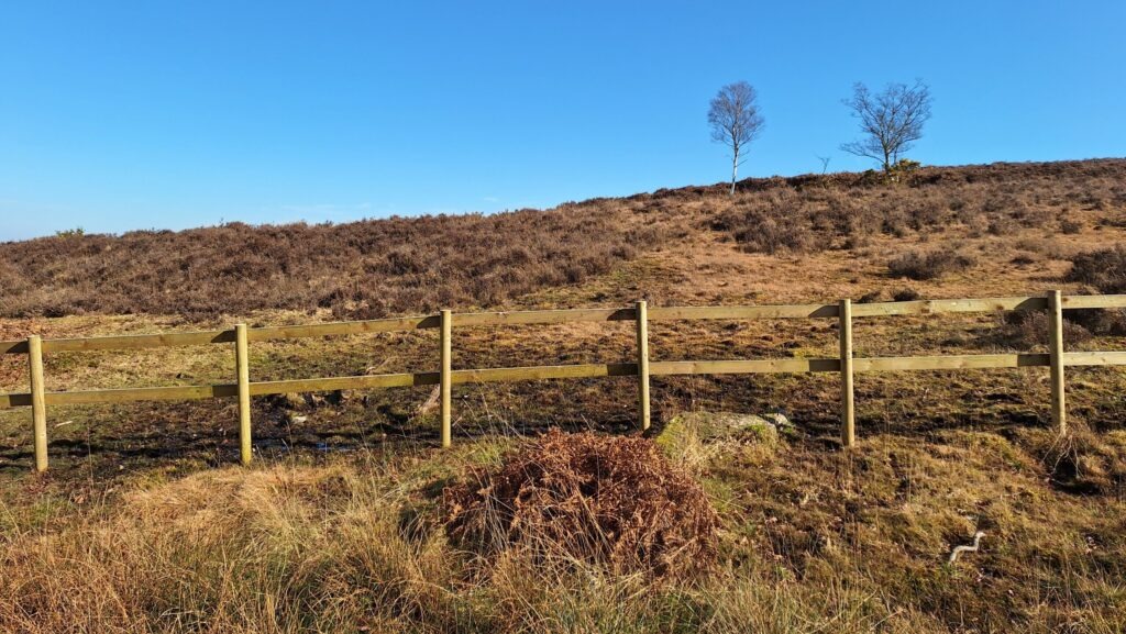 Wooden fence in foreground with a brown grassy hillside and two leafless trees under a clear blue sky