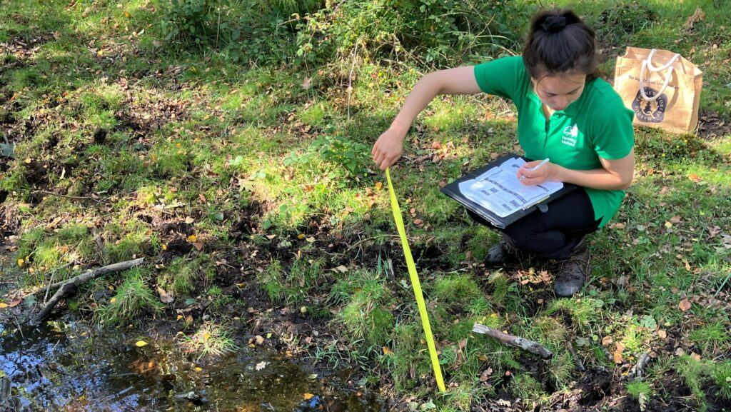 Person measures a shallow wetland channel with a tape measure while recording notes on a clipboard beside the water