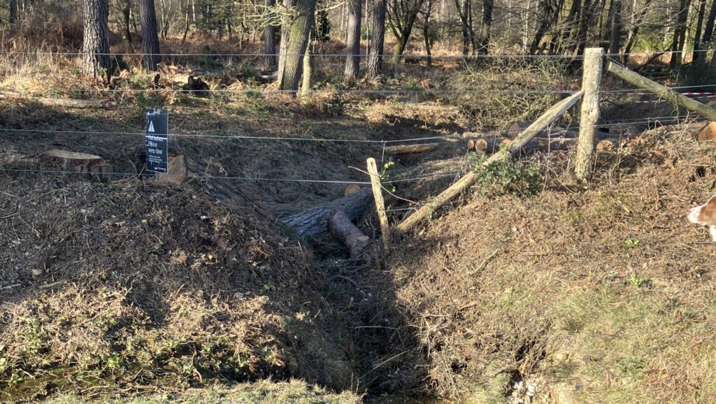 Small stream in a wooded area with muddy banks, a wire fence and warning sign, and felled logs near the water