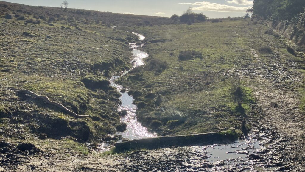 Muddy track beside a narrow stream crossing open grassland, with puddles in the foreground and trees on the right under a blue sky