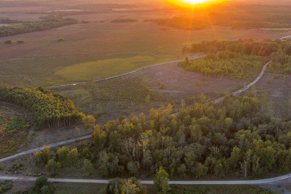 Aerial view of Ipley heathland restoration site at sunset, showing open heath, tree patches, and winding tracks