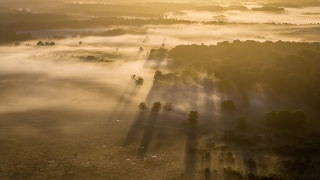 Aerial view of New Forest heathland at sunrise, low mist drifting over fields and woodland with long tree shadows