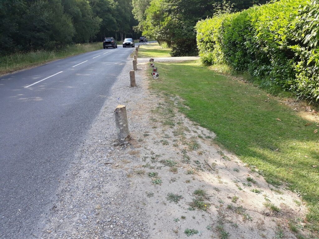 Concrete dragon’s teeth posts lining a gravel verge beside a forest road, with cars passing and green hedges on the right