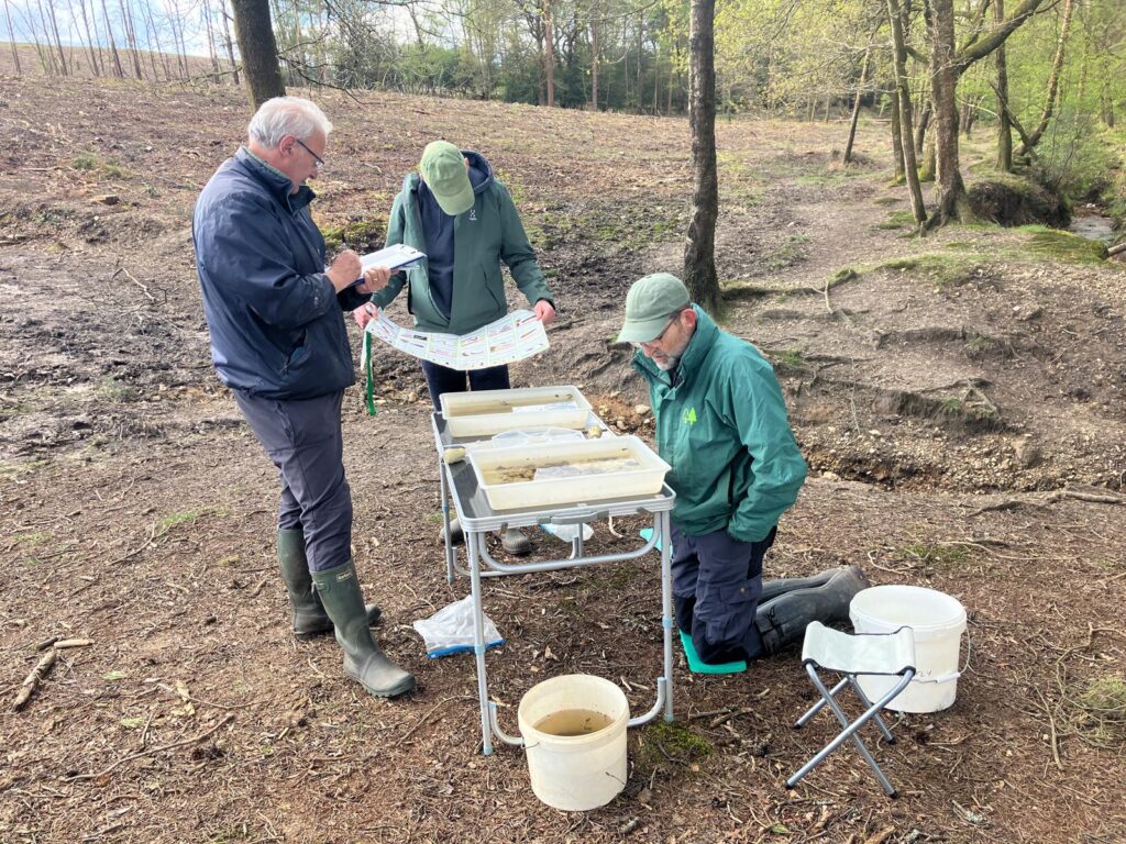 Three volunteers conduct riverfly monitoring beside a stream, sorting samples in trays on a table while checking a clipboard and chart