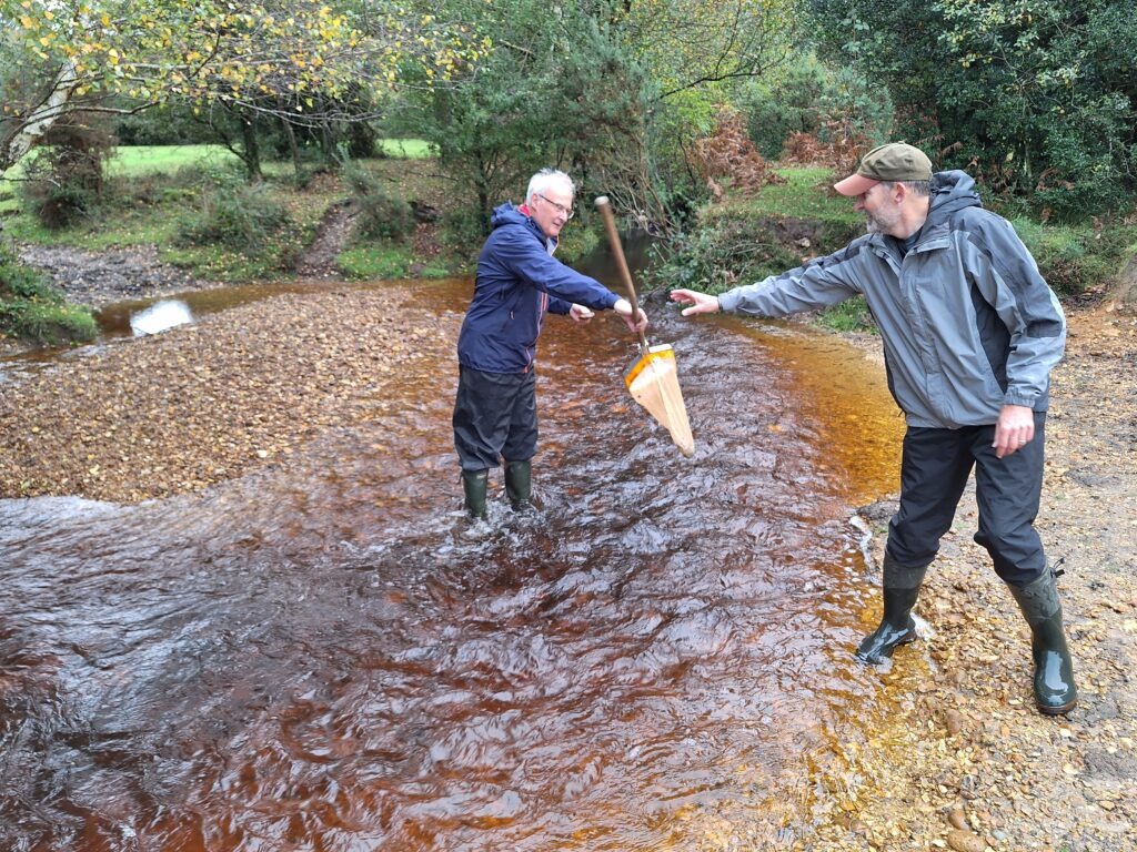 Two riverfly monitoring volunteers in wellies use a net in a shallow stream beside a wooded bank
