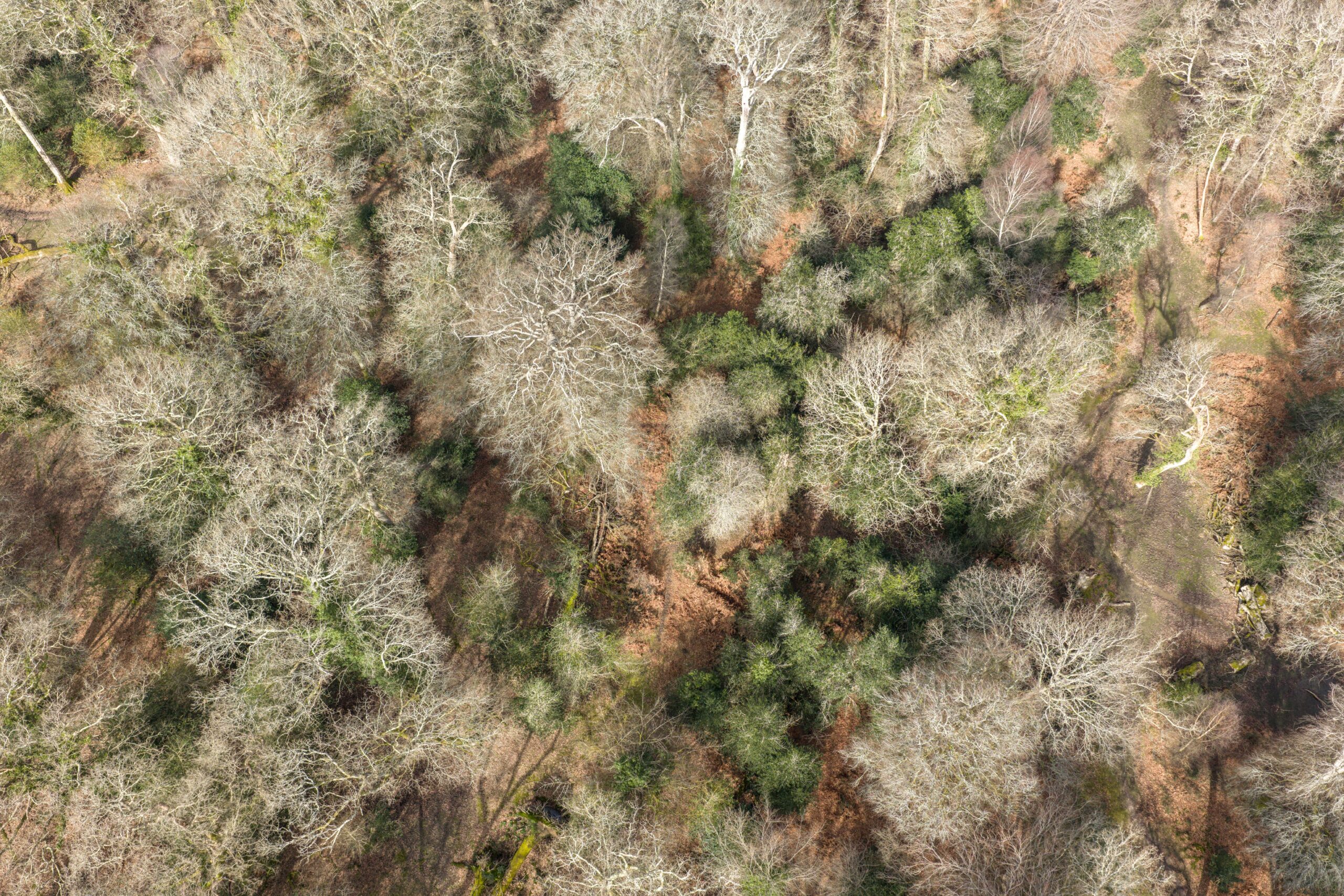 Gritnam Wood work