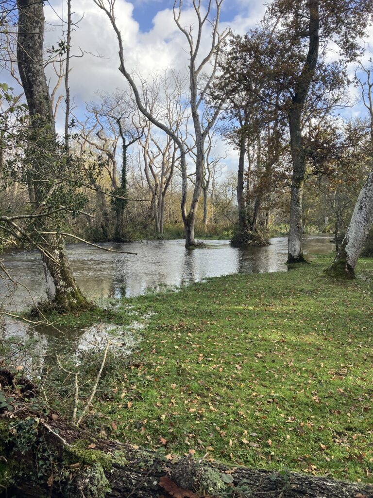 Wootton - Avon Water - bank overflow
