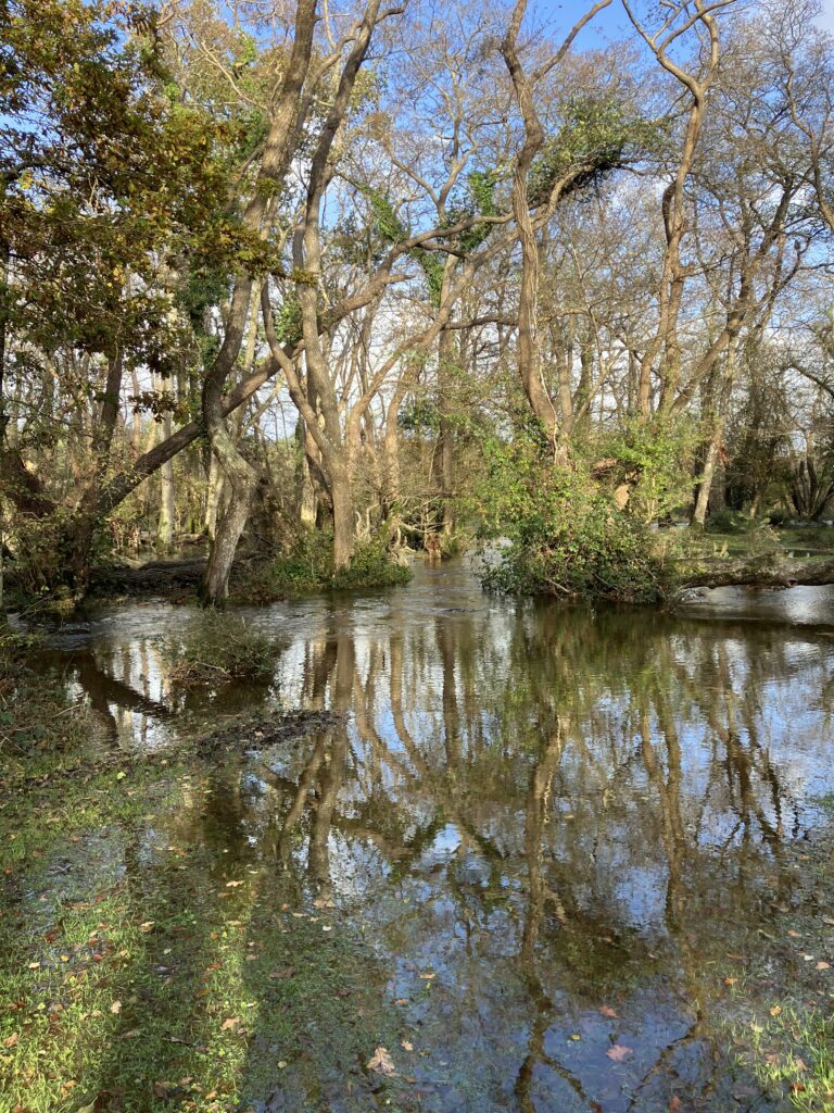 Wootton - Avon Water - bank overflow