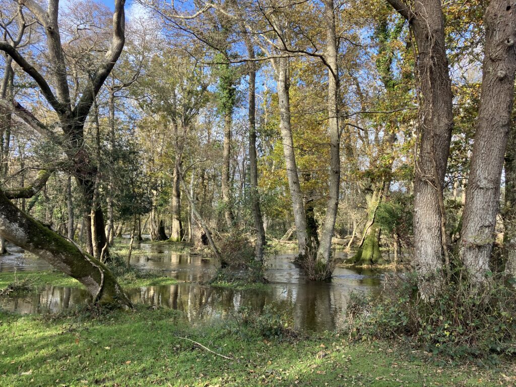 Wootton - Avon Water - bank overflow