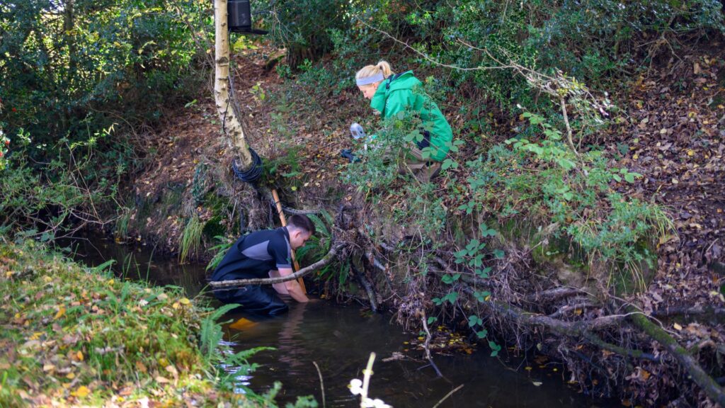 Two people take water measurements in a wooded stream, one kneeling in the water while another watches from the bank