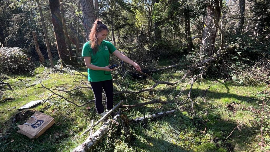 Person in a green shirt uses a handheld meter to measure water quality in a wooded area with fallen branches and gear on grass